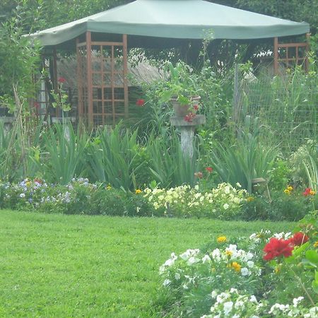 Farm Stay Lackovic Bilje Dış mekan fotoğraf