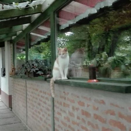 Farm Stay Lackovic Bilje Dış mekan fotoğraf