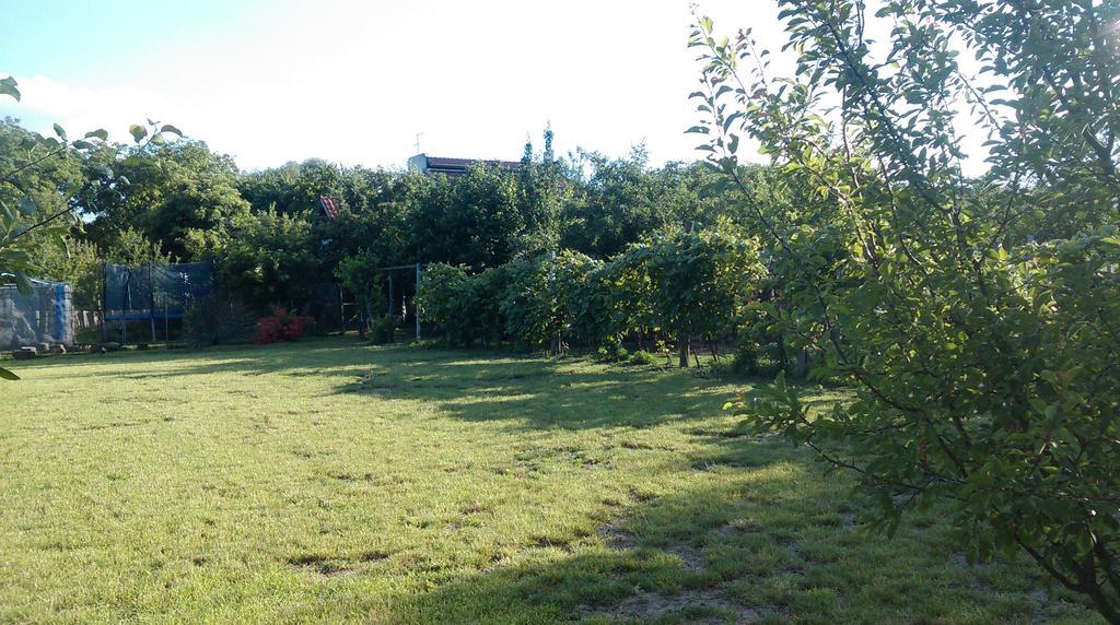 Farm Stay Lackovic Bilje Dış mekan fotoğraf