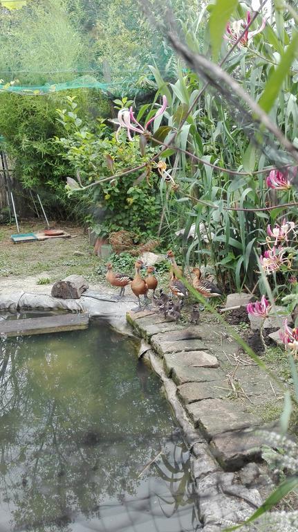 Farm Stay Lackovic Bilje Dış mekan fotoğraf