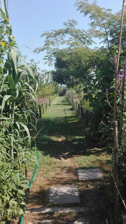 Farm Stay Lackovic Bilje Dış mekan fotoğraf